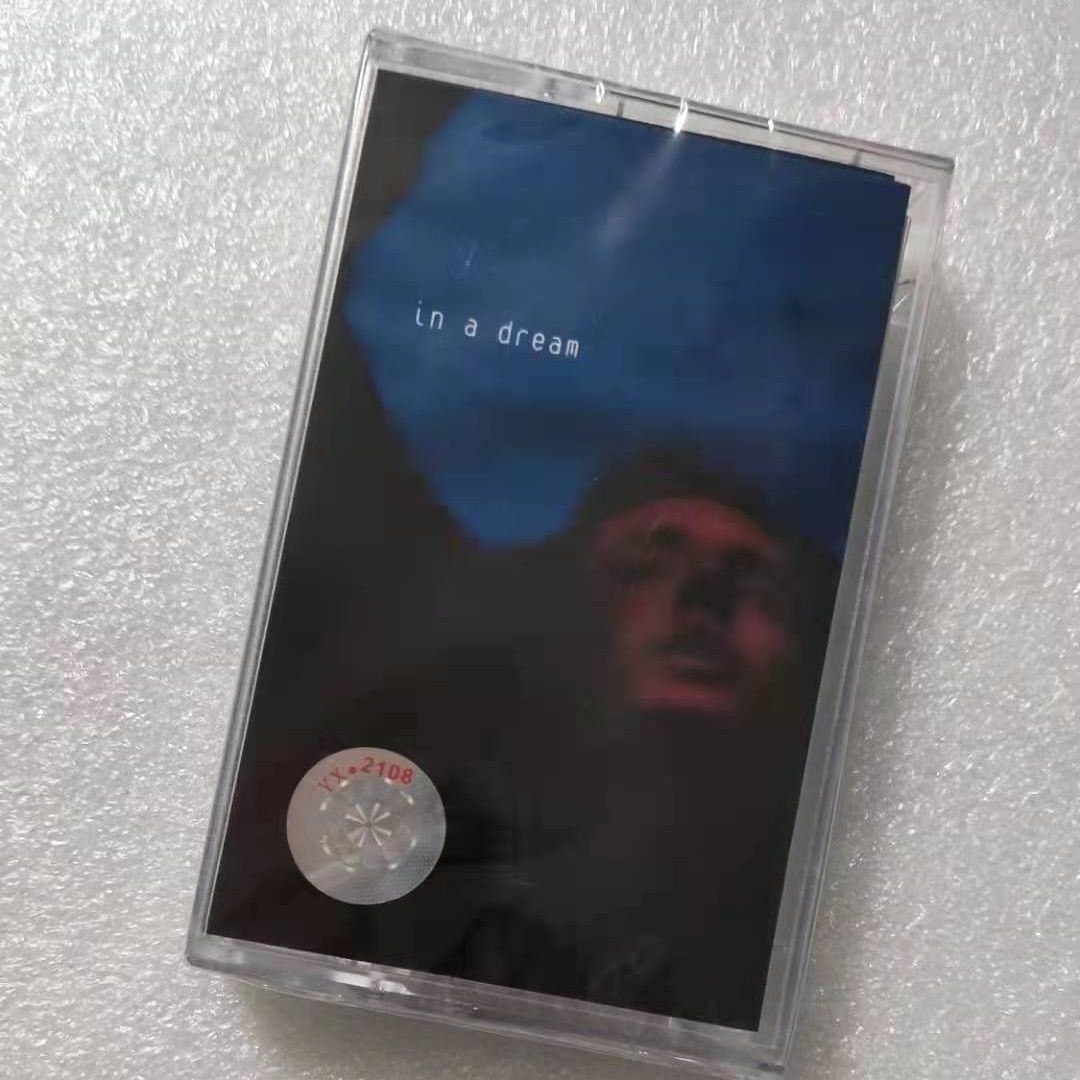 Troye Sivan In A Dream Album M - Electronic Gift recensione e prezzo
