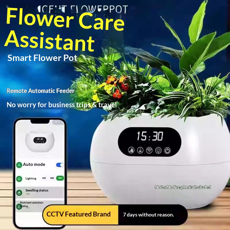 Vaso Intelligente AI con Irrig - Electronic Gift recensione e prezzo